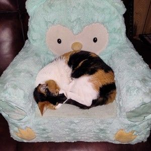 Meet your Posher, Posh